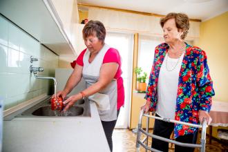 
		Eine Haushaltshilfe kümmert sich um den Haushalt einer Seniorin
	
